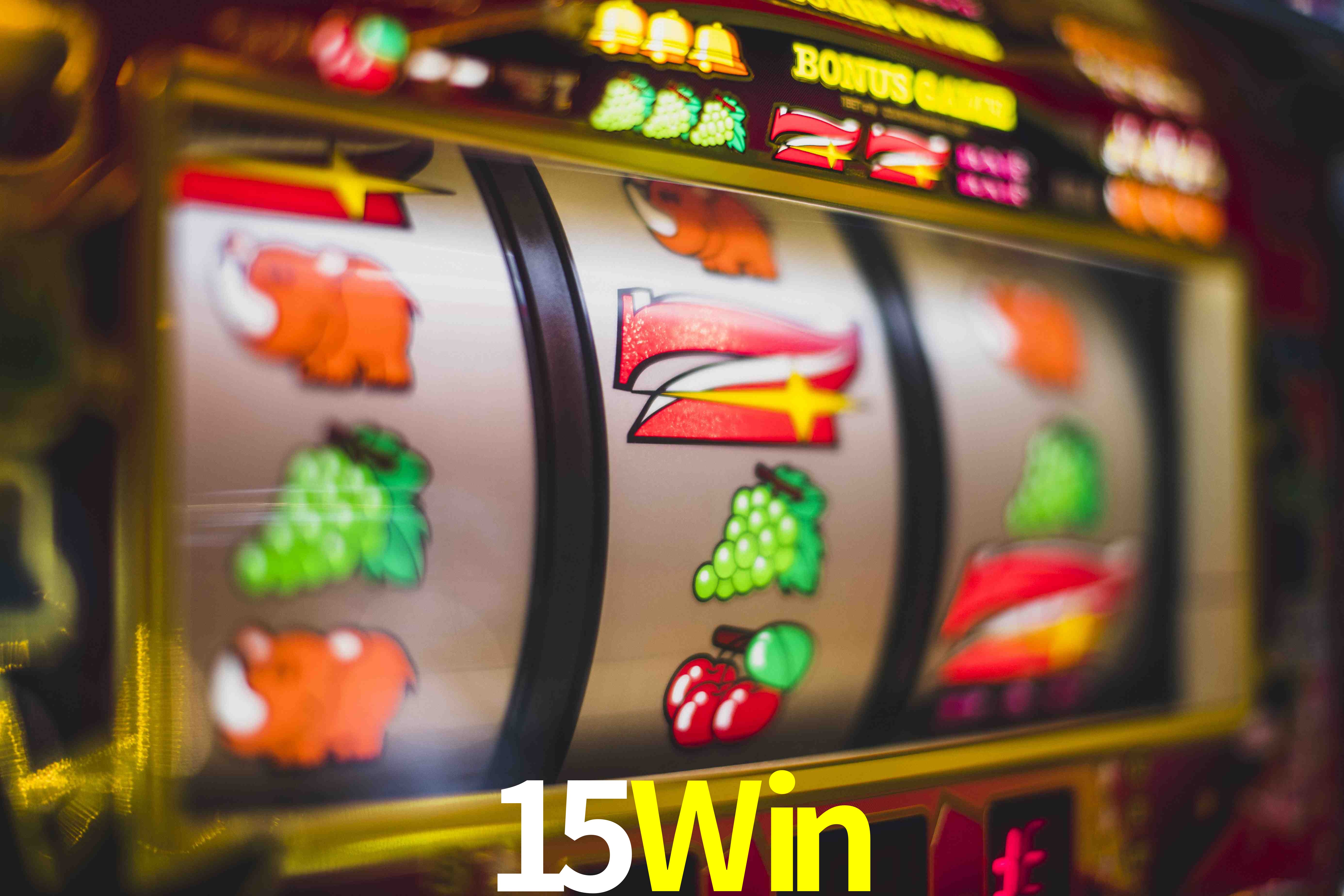 Programa VIP 15Win